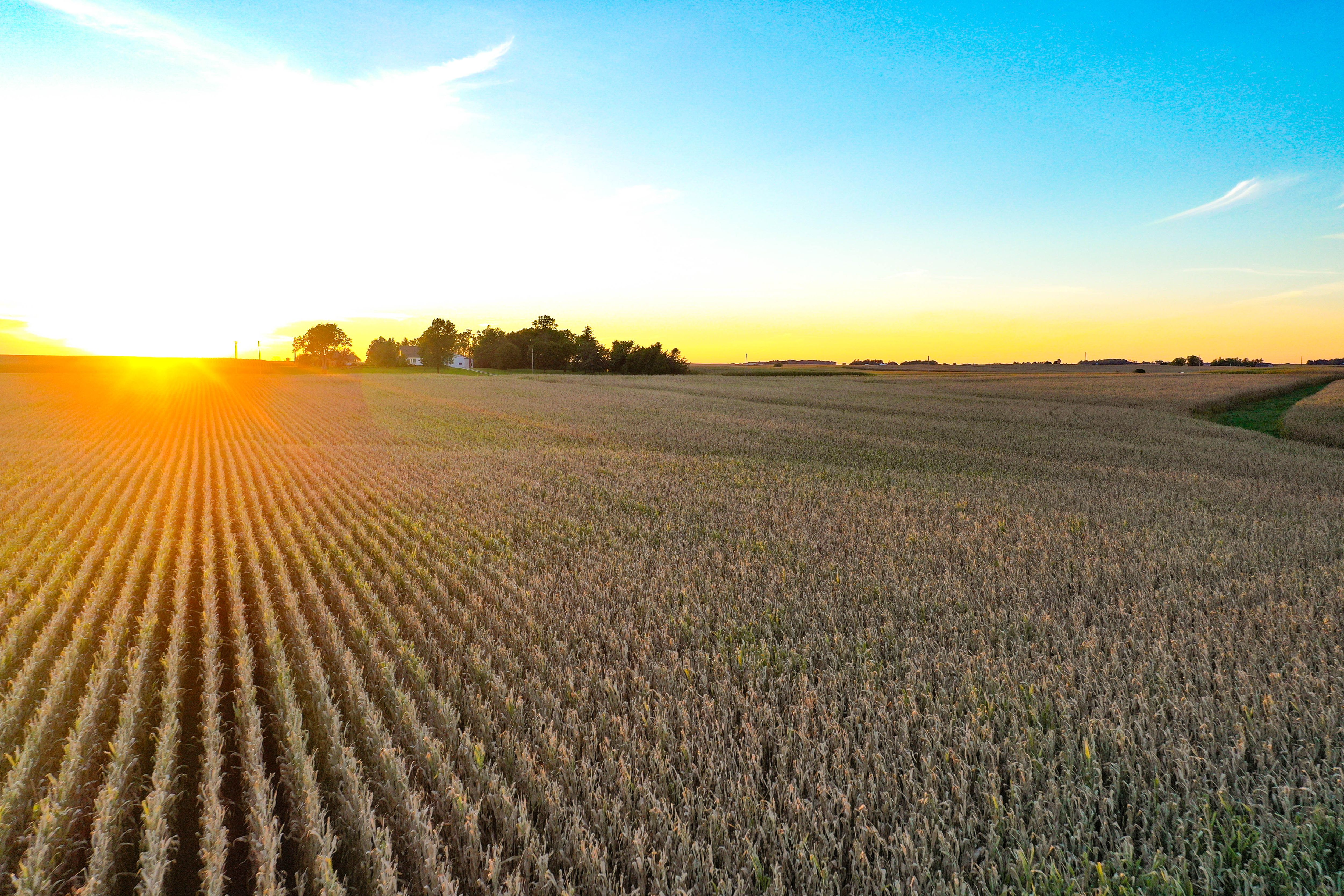Listing Photo: 31-Northern Iowa Farmland Auction